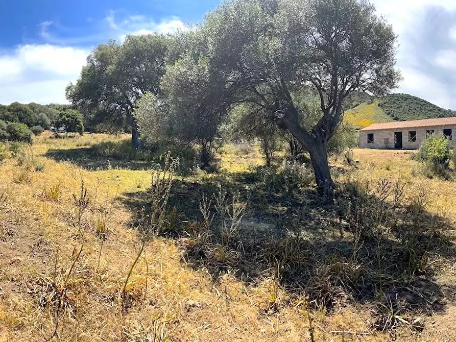 Immagine 32 di Rustico / casale in vendita  in Loc. Paduledda a Trinità D'agultu E Vignola