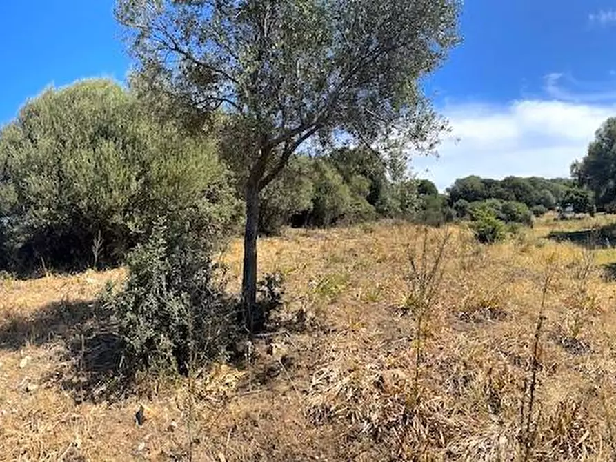 Immagine 33 di Rustico / casale in vendita  in Loc. Paduledda a Trinità D'agultu E Vignola