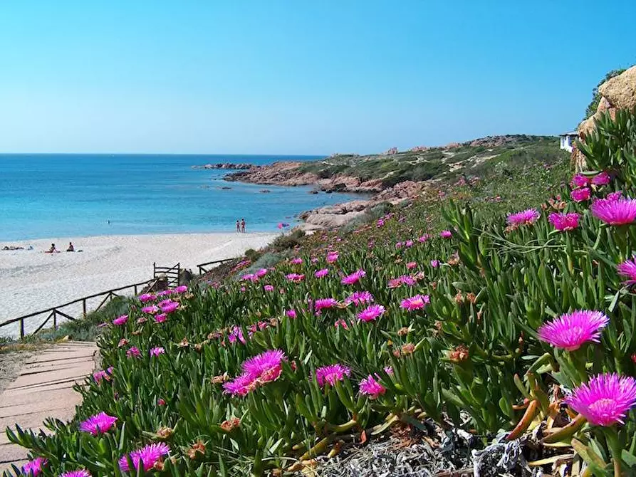 Immagine 36 di Rustico / casale in vendita  in Loc. Paduledda a Trinità D'agultu E Vignola