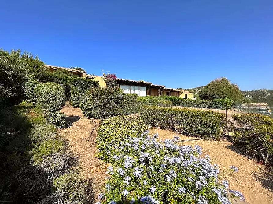 Immagine 3 di Villetta a schiera in vendita  a Trinità D'agultu E Vignola