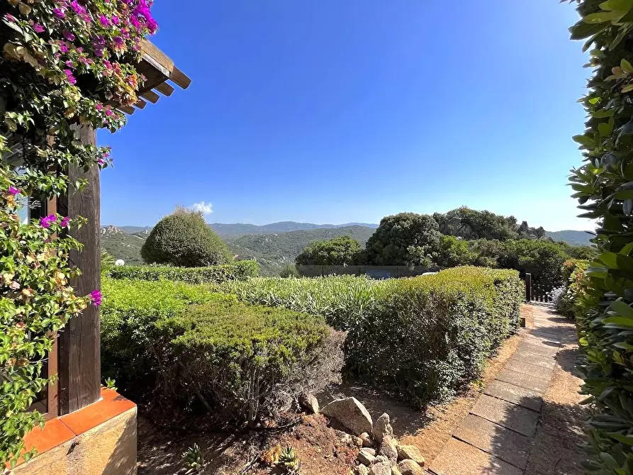 Immagine 5 di Villetta a schiera in vendita  a Trinità D'agultu E Vignola