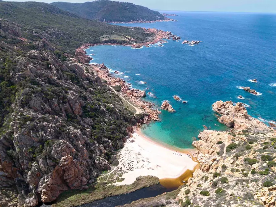 Immagine 23 di Villetta a schiera in vendita  in Via Li Junchi a Trinità D'agultu E Vignola