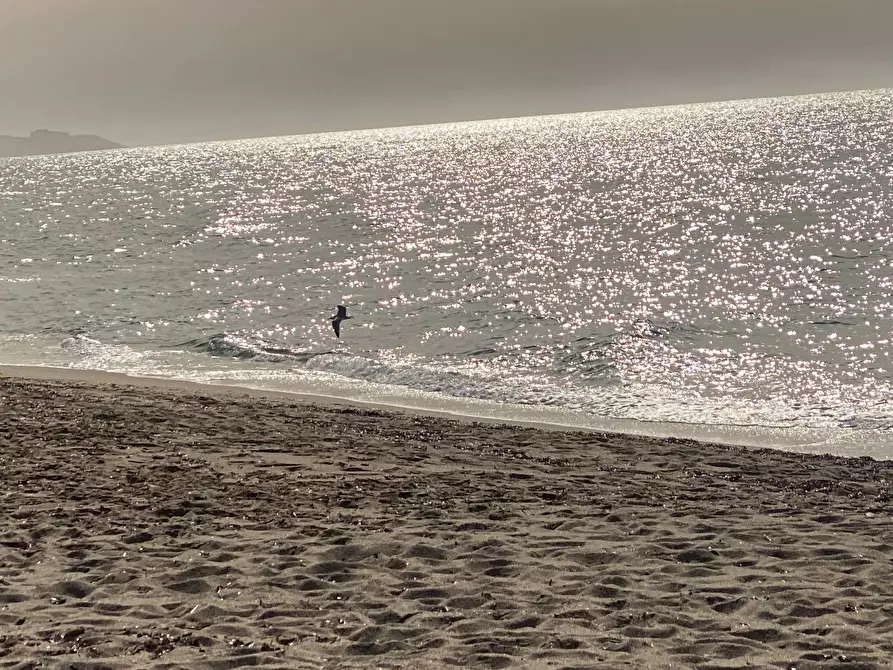 Immagine 21 di Terreno residenziale in vendita  in Via Mare a Badesi