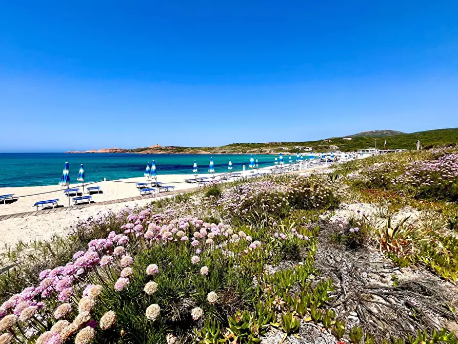 Immagine 26 di Villa in vendita  in Isola Rossa a Trinità D'agultu E Vignola