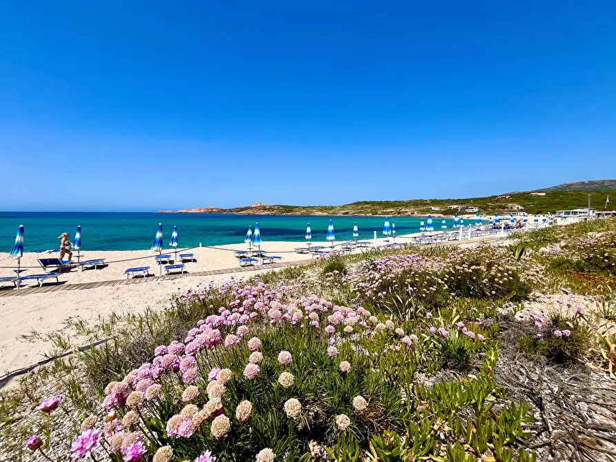 Immagine 27 di Villa in vendita  in Isola Rossa a Trinità D'agultu E Vignola