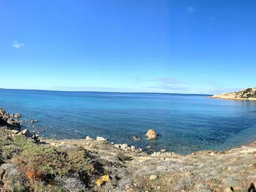 Immagine 17 di Rustico / casale in vendita  a Aggius