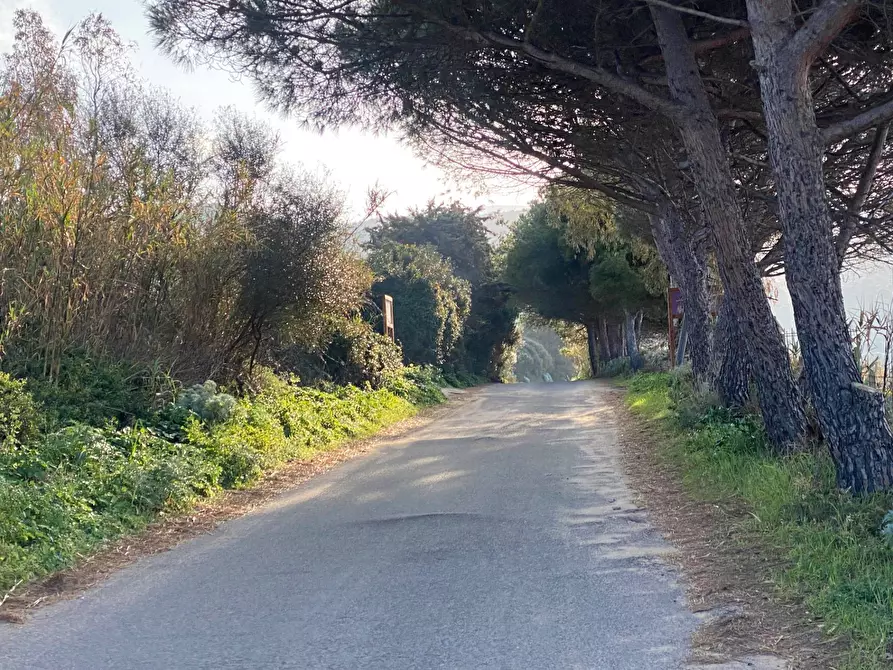 Immagine 13 di Appartamento in vendita  in via mare a Badesi