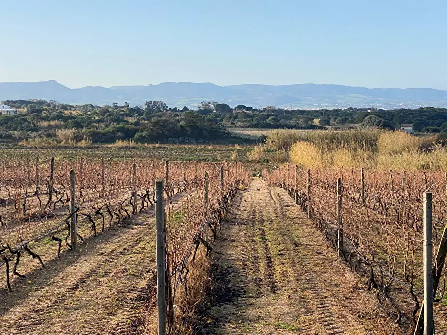 Immagine 14 di Appartamento in vendita  in via mare a Badesi