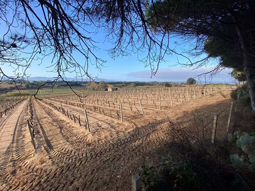 Immagine 15 di Appartamento in vendita  in via mare a Badesi