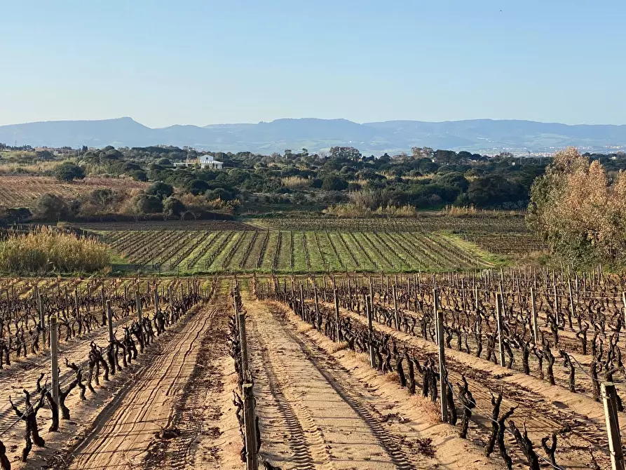 Immagine 12 di Appartamento in vendita  in Via Mare a Badesi