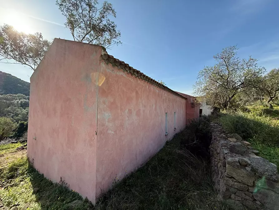 Immagine 5 di Rustico / casale in vendita  a Viddalba