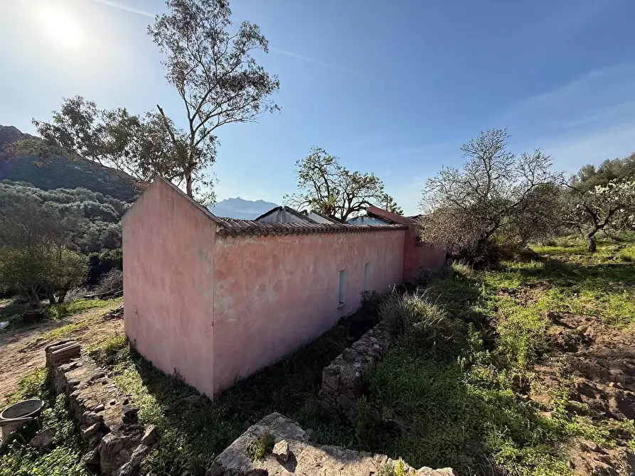 Immagine 6 di Rustico / casale in vendita  a Viddalba