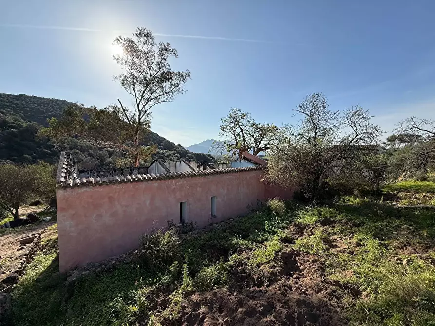 Immagine 7 di Rustico / casale in vendita  a Viddalba