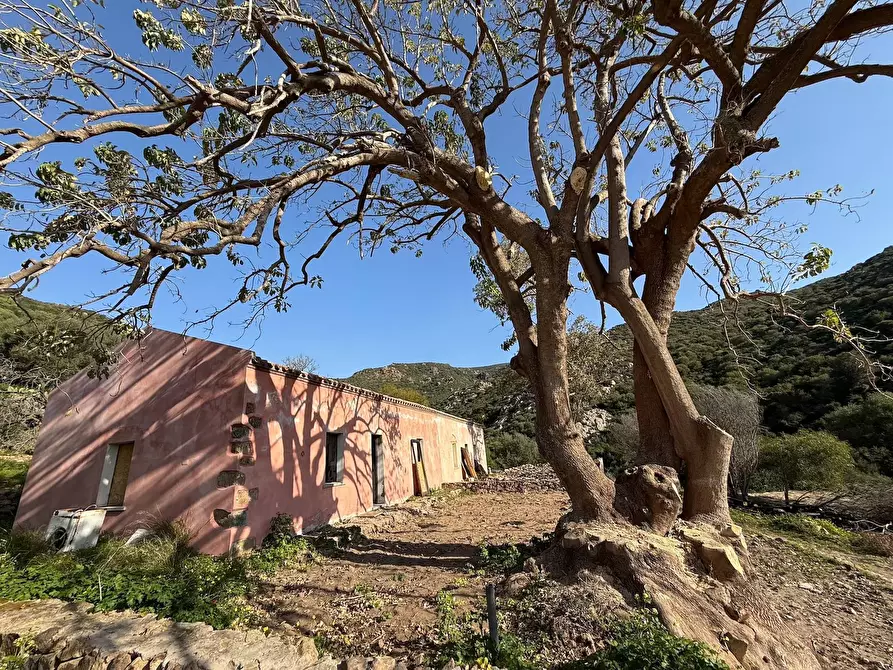 Immagine 14 di Rustico / casale in vendita  a Viddalba