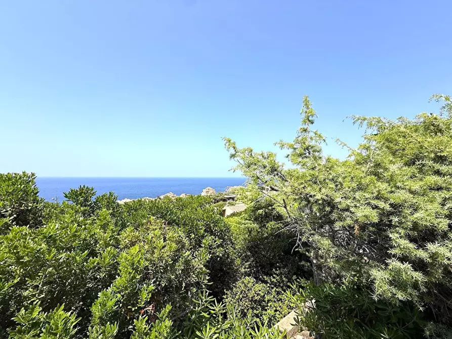 Immagine 35 di Villa in vendita  in Loc. Costa Paradiso a Trinità D'agultu E Vignola