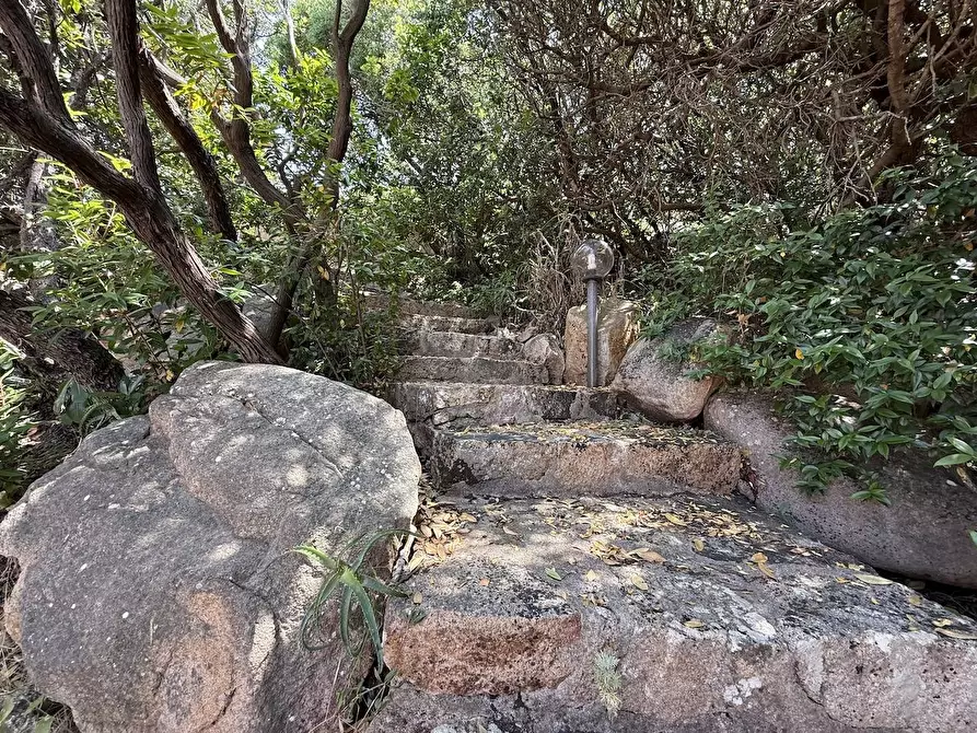 Immagine 46 di Villa in vendita  in Loc. Costa Paradiso a Trinità D'agultu E Vignola