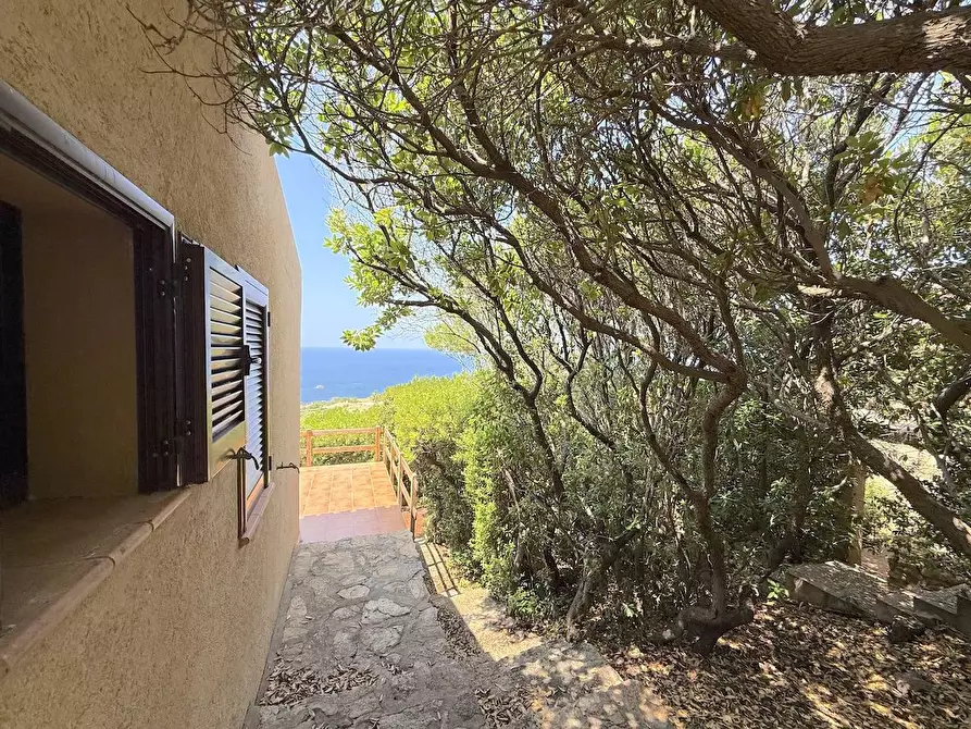 Immagine 66 di Villa in vendita  in Loc. Costa Paradiso a Trinità D'agultu E Vignola