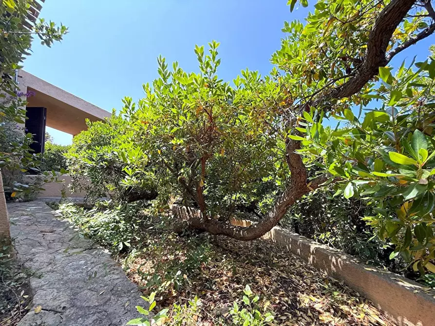 Immagine 68 di Villa in vendita  in Loc. Costa Paradiso a Trinità D'agultu E Vignola