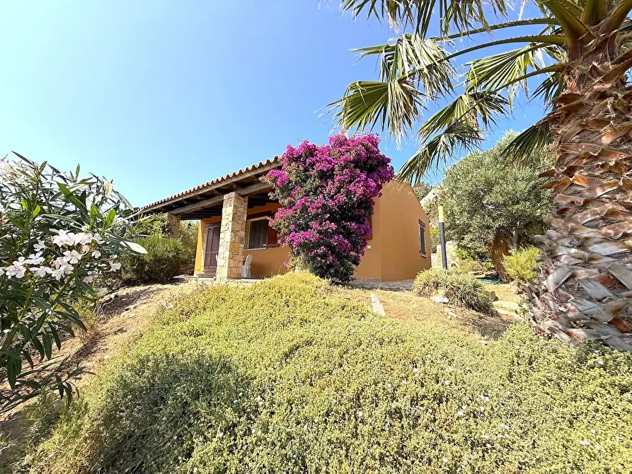Immagine 1 di Villa in vendita  a Trinità D'agultu E Vignola