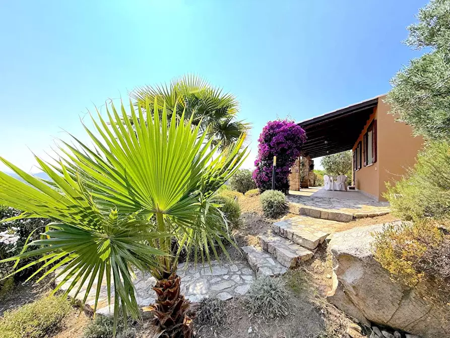 Immagine 2 di Villa in vendita  a Trinità D'agultu E Vignola