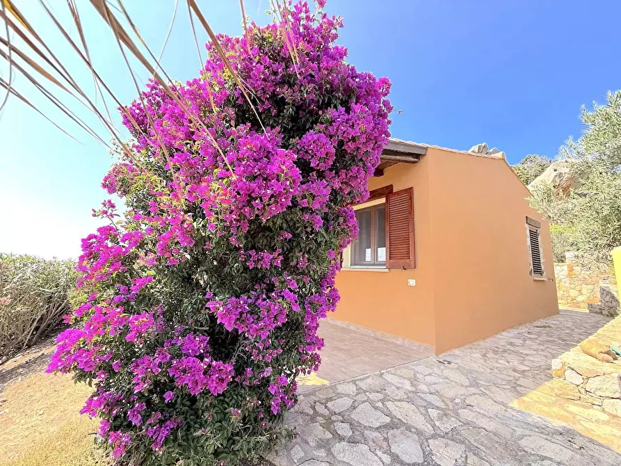 Immagine 4 di Villa in vendita  a Trinità D'agultu E Vignola