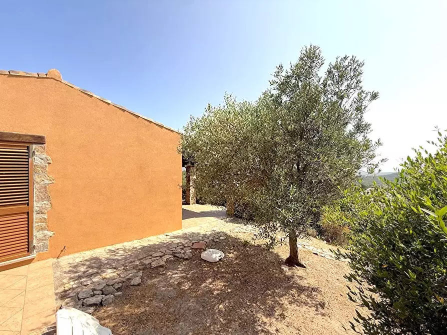 Immagine 7 di Villa in vendita  a Trinità D'agultu E Vignola