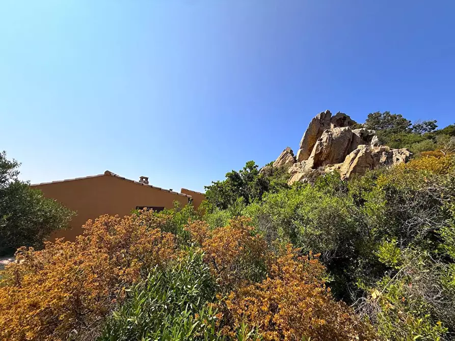 Immagine 14 di Villa in vendita  a Trinità D'agultu E Vignola