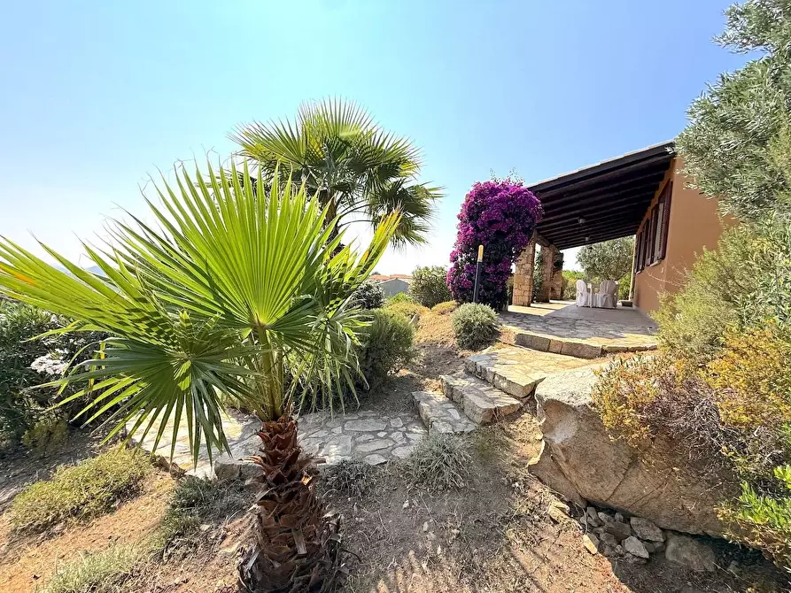 Immagine 15 di Villa in vendita  a Trinità D'agultu E Vignola