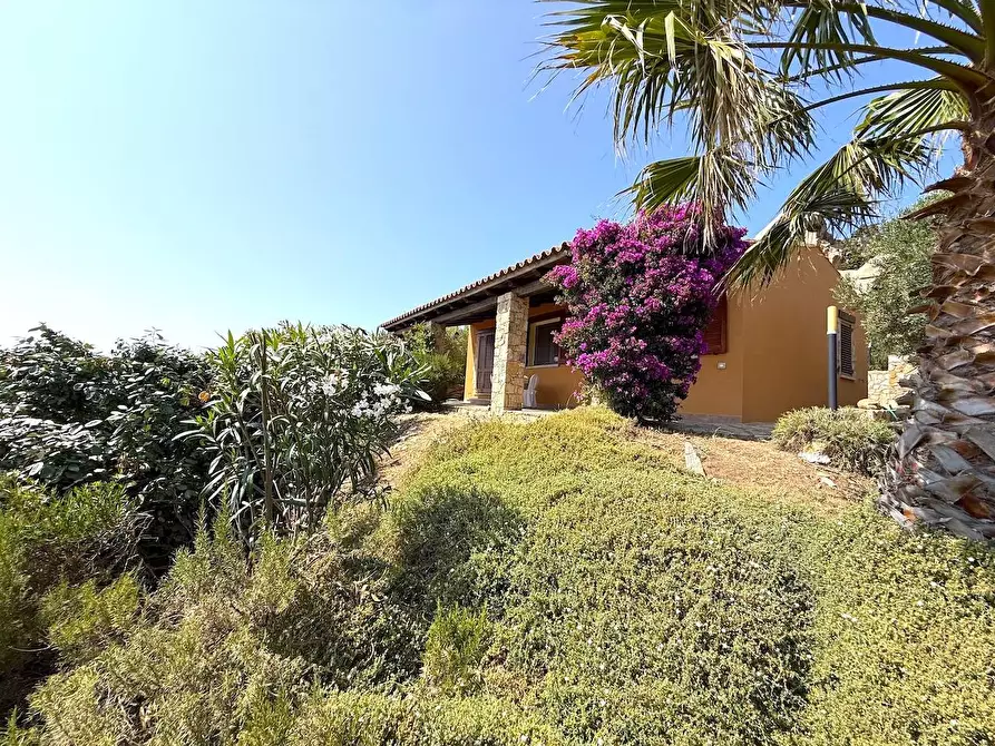 Immagine 16 di Villa in vendita  a Trinità D'agultu E Vignola