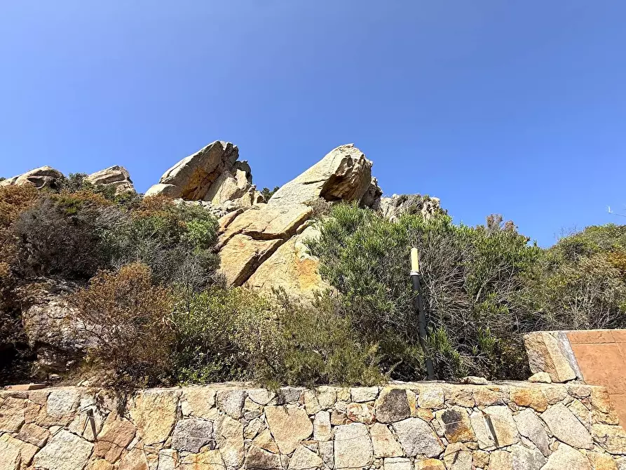 Immagine 19 di Villa in vendita  a Trinità D'agultu E Vignola