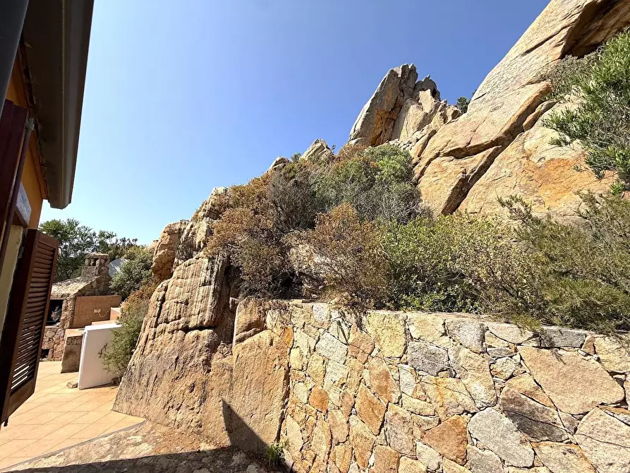 Immagine 21 di Villa in vendita  a Trinità D'agultu E Vignola