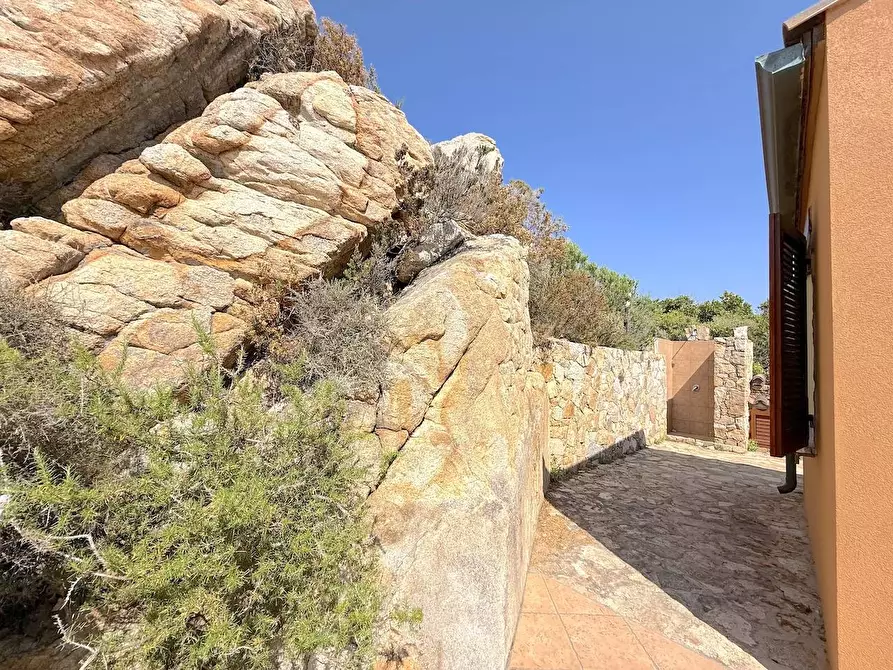 Immagine 23 di Villa in vendita  a Trinità D'agultu E Vignola