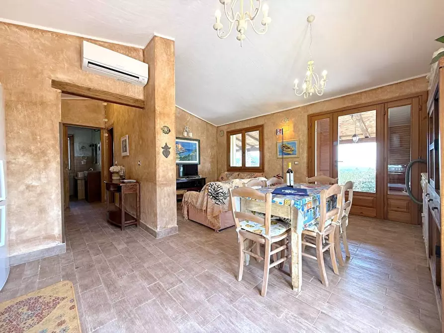 Immagine 28 di Villa in vendita  a Trinità D'agultu E Vignola