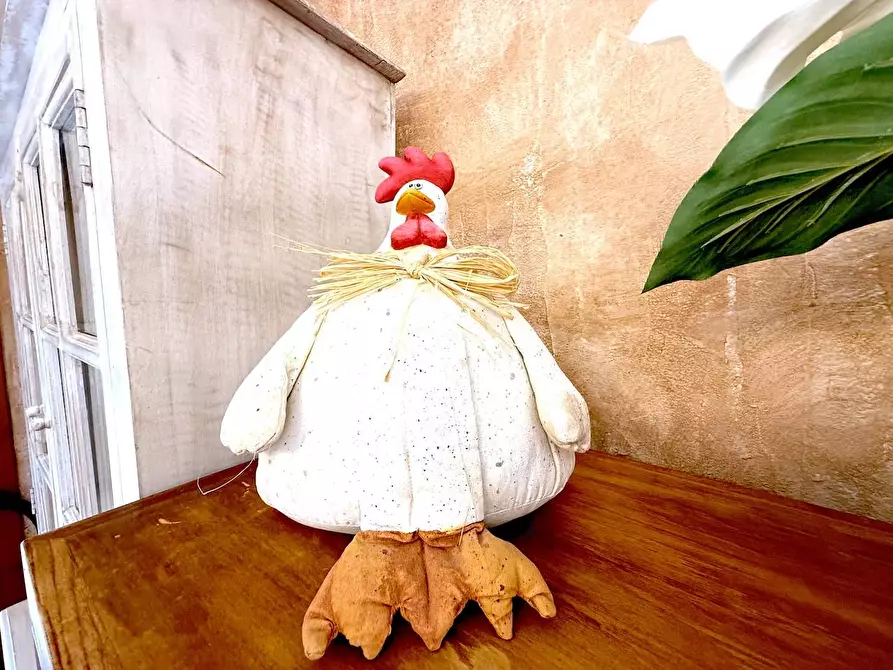 Immagine 30 di Villa in vendita  a Trinità D'agultu E Vignola