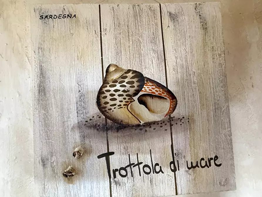 Immagine 49 di Villa in vendita  a Trinità D'agultu E Vignola