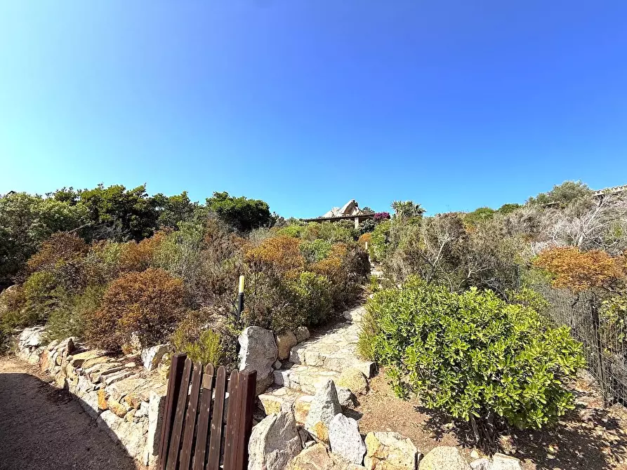 Immagine 60 di Villa in vendita  a Trinità D'agultu E Vignola
