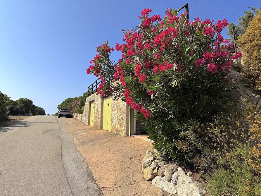 Immagine 61 di Villa in vendita  a Trinità D'agultu E Vignola