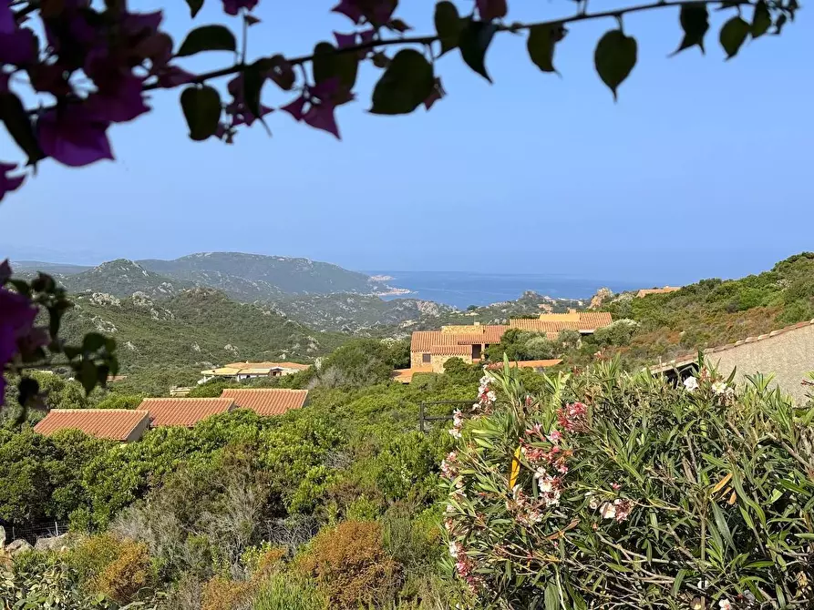 Immagine 63 di Villa in vendita  a Trinità D'agultu E Vignola