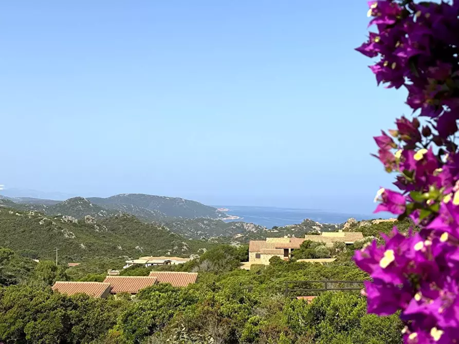 Immagine 66 di Villa in vendita  a Trinità D'agultu E Vignola