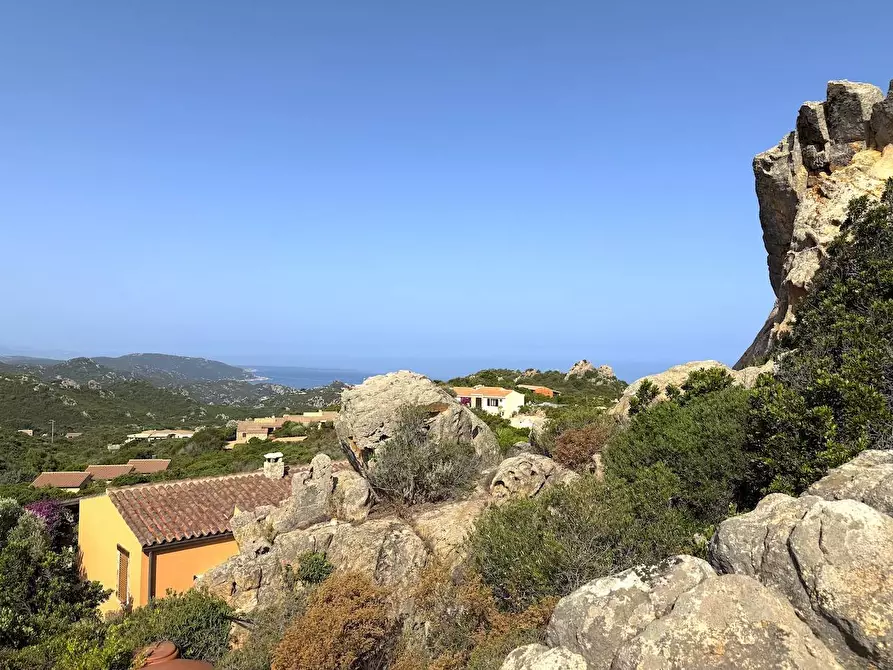 Immagine 72 di Villa in vendita  a Trinità D'agultu E Vignola