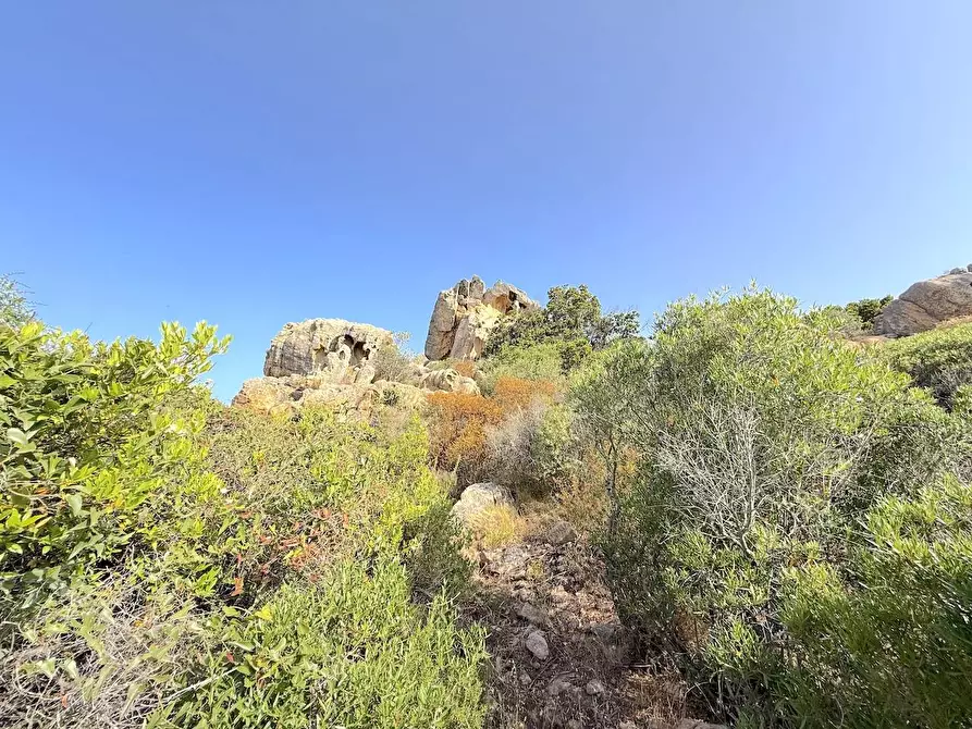 Immagine 74 di Villa in vendita  a Trinità D'agultu E Vignola