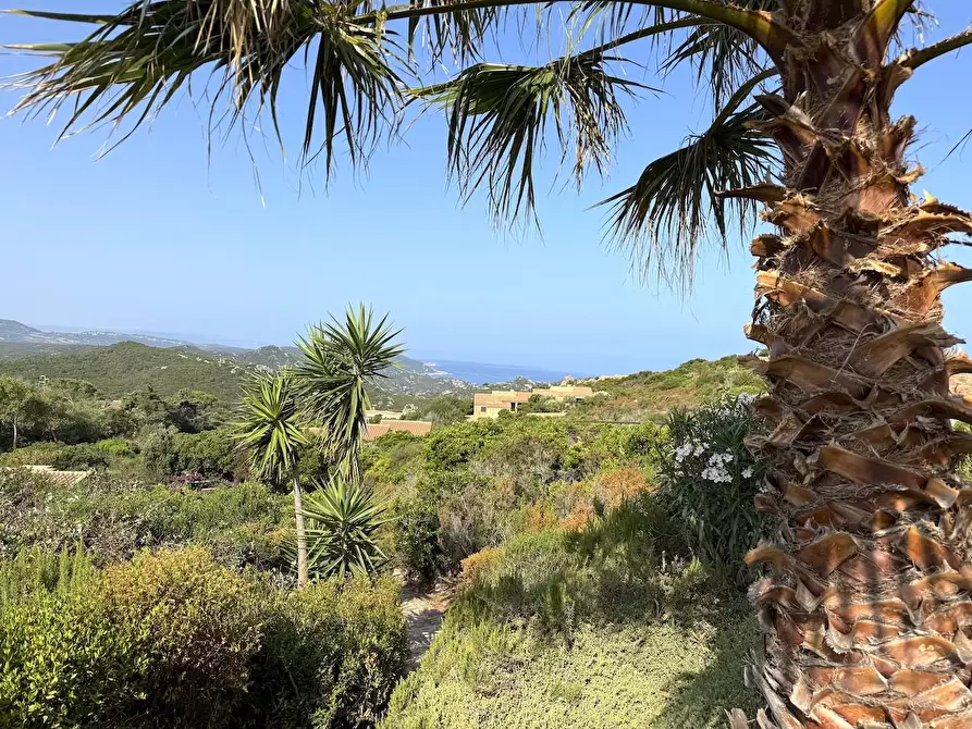 Immagine 76 di Villa in vendita  a Trinità D'agultu E Vignola