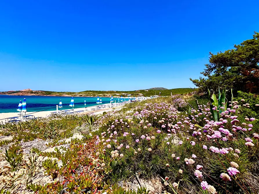 Immagine 27 di Villetta a schiera in vendita  in isola rossa a Trinità D'agultu E Vignola