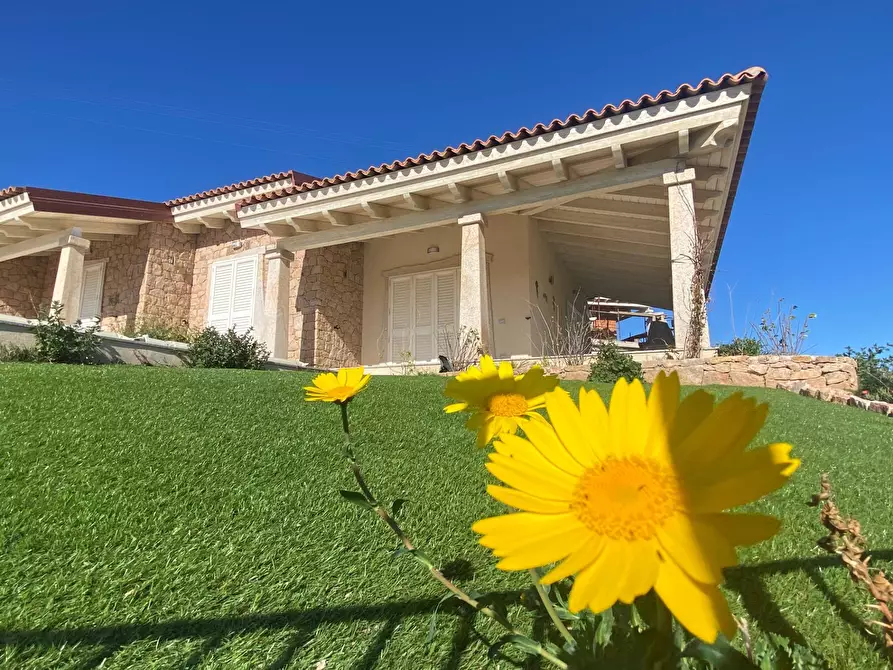 Immagine 2 di Villetta a schiera in vendita  a Trinità D'agultu E Vignola