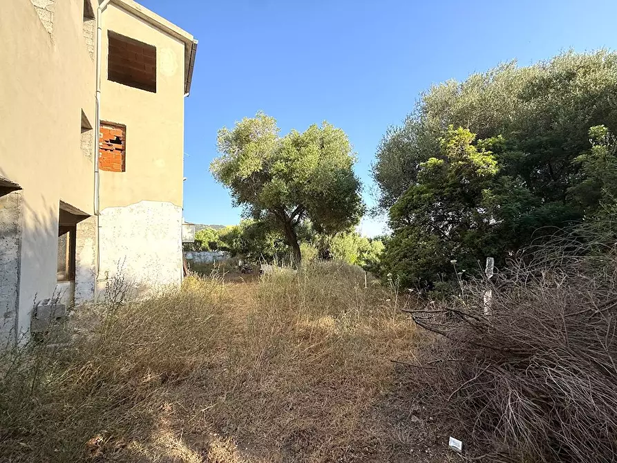 Immagine 6 di Palazzo in vendita  in Via Mare sn a Badesi