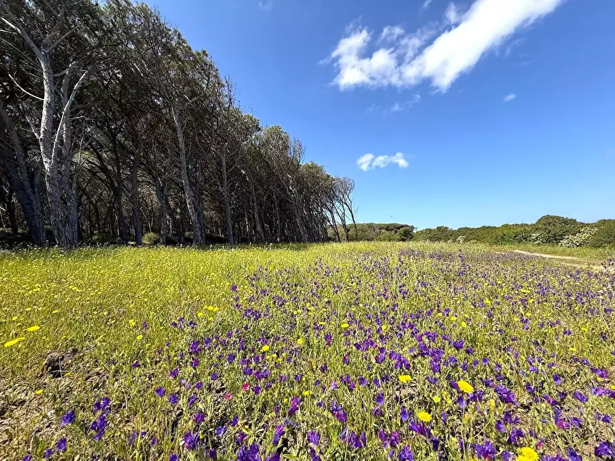 Immagine 16 di Villa in vendita  in Isola Rossa a Trinità D'agultu E Vignola
