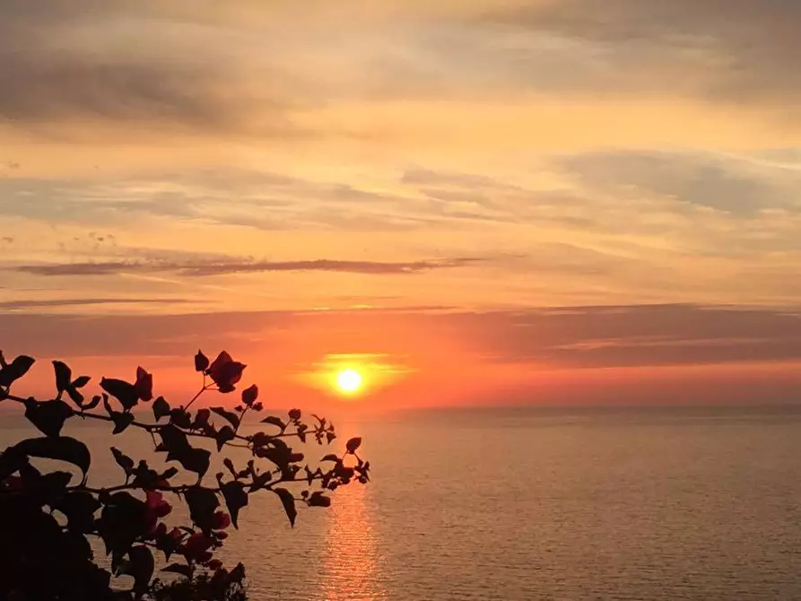 Immagine 15 di Appartamento in vendita  a Trinità D'agultu E Vignola