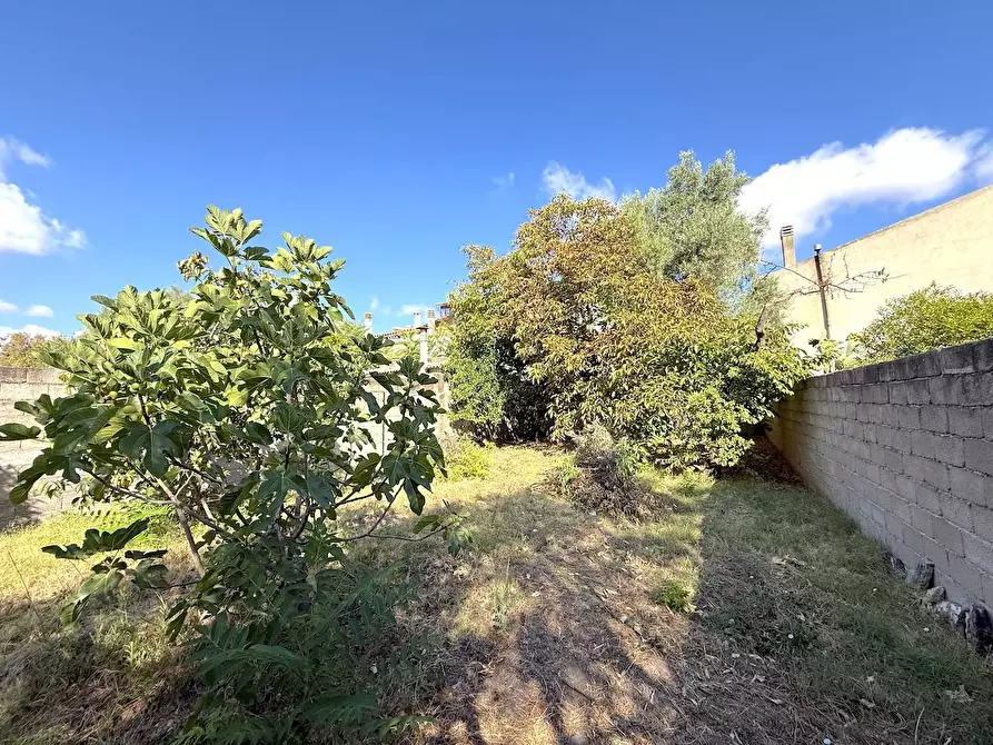 Immagine 12 di Casa indipendente in vendita  in Via Mazzini a Perfugas