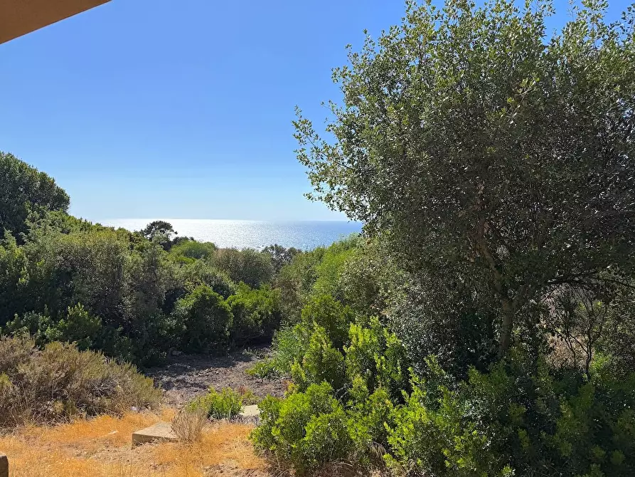 Immagine 15 di Villetta a schiera in vendita  in La sarrera sn a Trinità D'agultu E Vignola