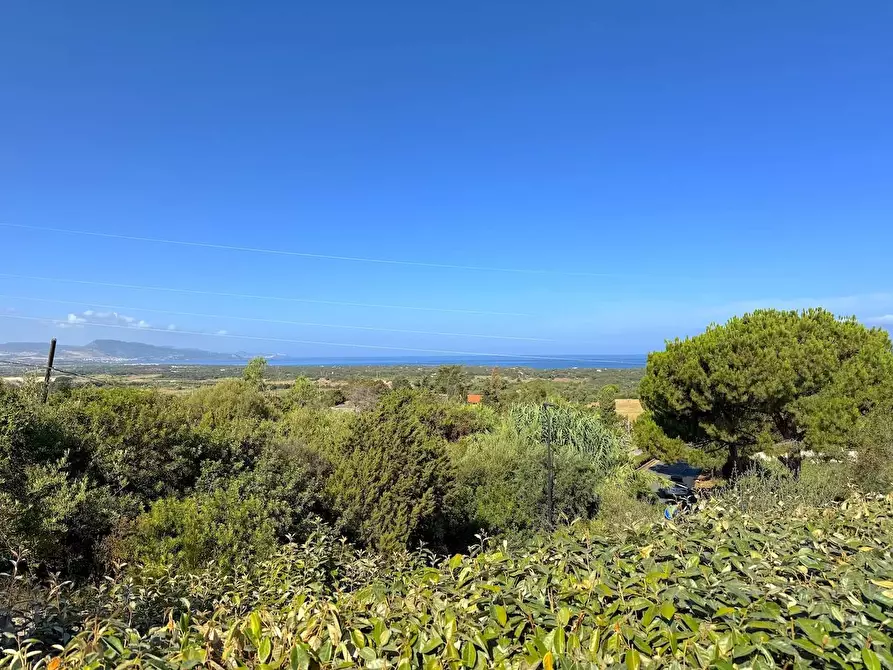 Immagine 6 di Villa in vendita  in Via mare sn a Badesi